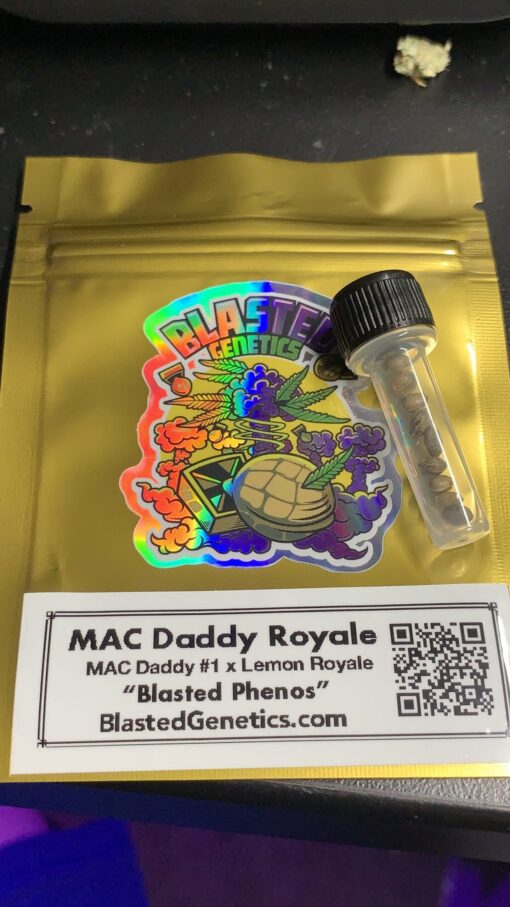 MAC Daddy Royale || Supreme Regular Photoperiod Cannabis Seeds [|[VAULT PACK]|]