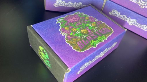 Collector Box Set