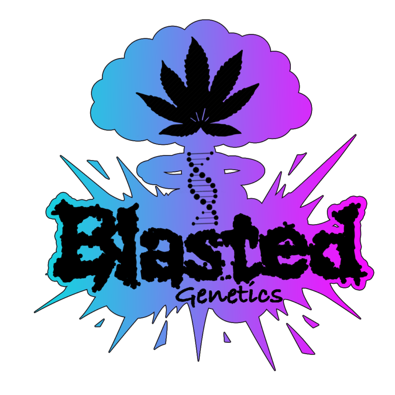 Blasted Genetics