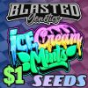 Ice Cream Mints : Blast Mix || Premium Regular Photoperiod Cannabis Seeds