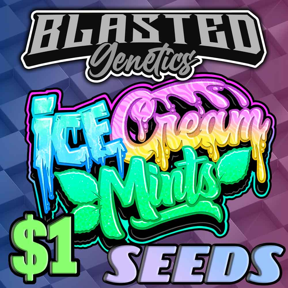 Ice Cream Mints : Blast Mix || Premium Regular Photoperiod Cannabis Seeds