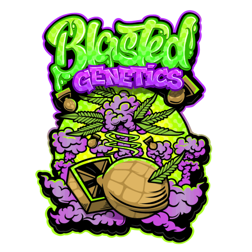Blasted Genetics Big Homie Steenos collaboration logo