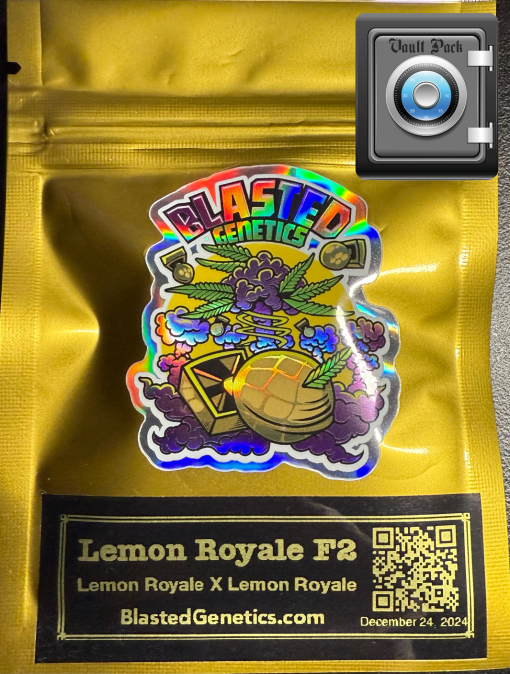 Lemon Royale F2