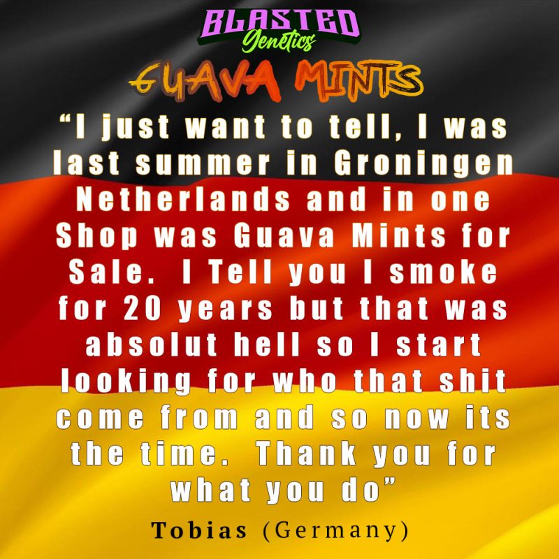 German Flag background with testimonial text overlayed on top