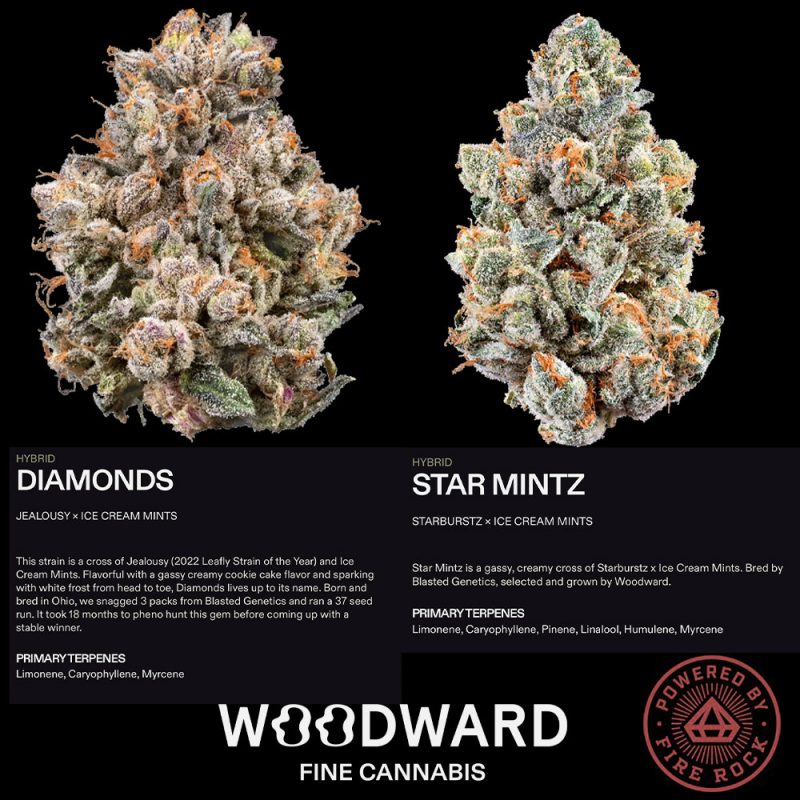 Diamonds and Star Mints flowers on Woodward fine cannabis info flyer
