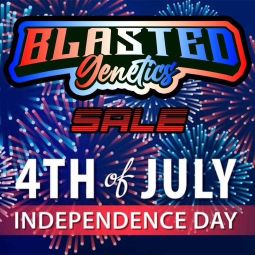 Freedom Sale
