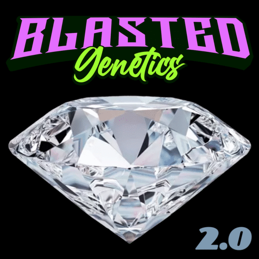 Diamonds 2.0